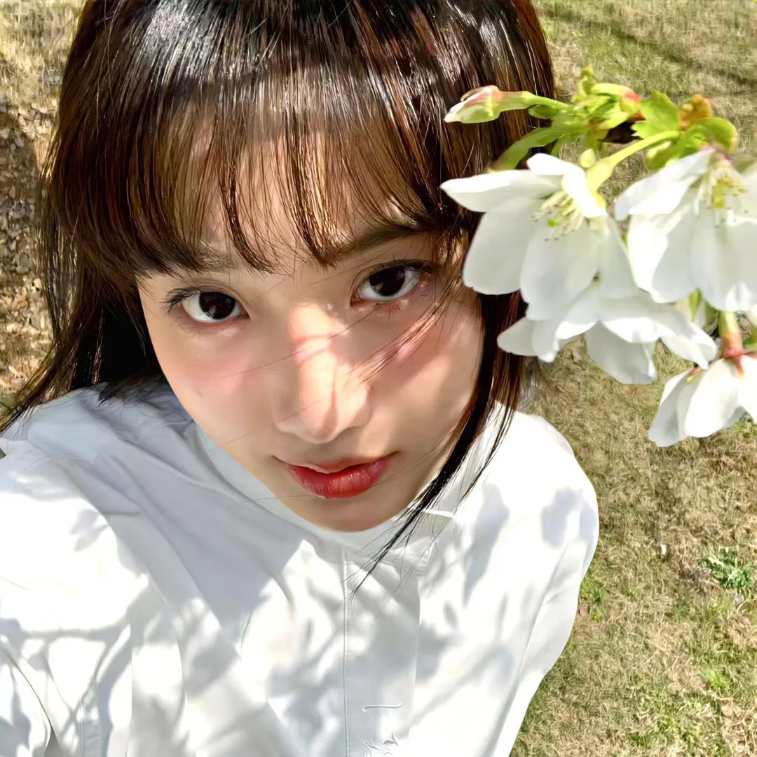 2024元宵奇妙游 在线观看