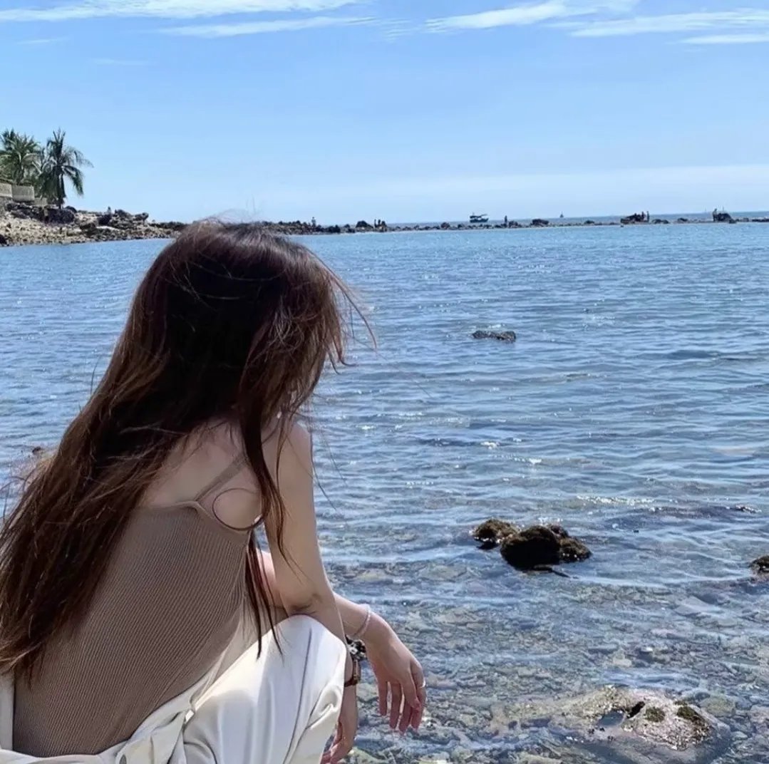 利维坦号战记 热播