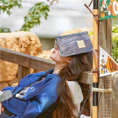 未来城市 / 叛逆智慧 在线观看