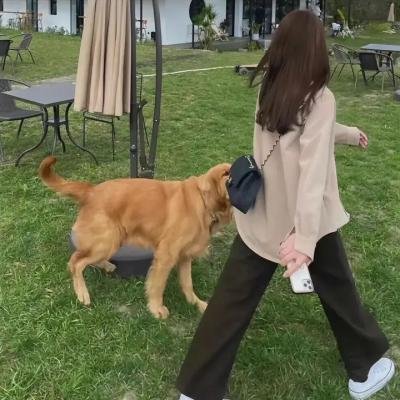 三只松鼠之萌力觉醒 在线观看